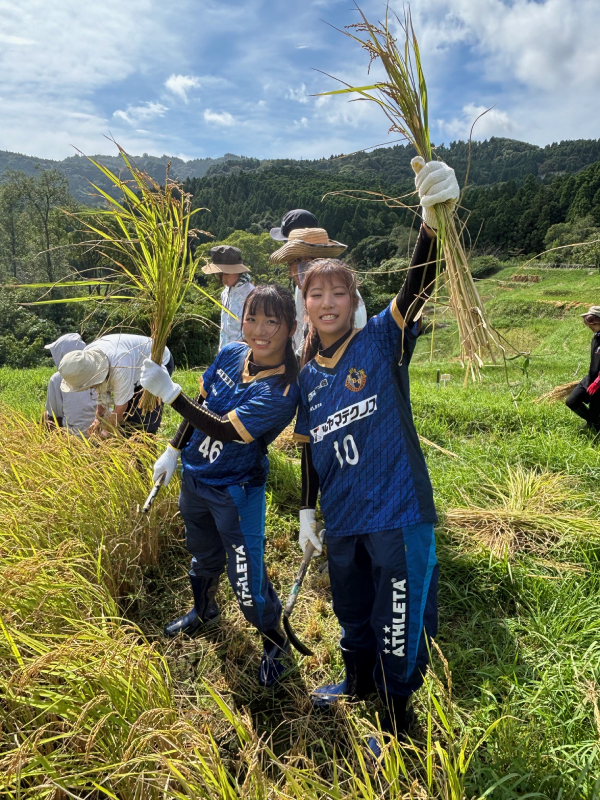 2回目登場！大山千枚田